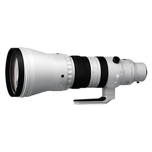 300-600mm F4 DG OS