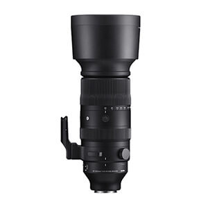60-600mm F4.5-6.3 DG DN OS