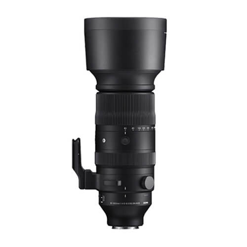 60-600mm F4.5-6.3 DG DN OS