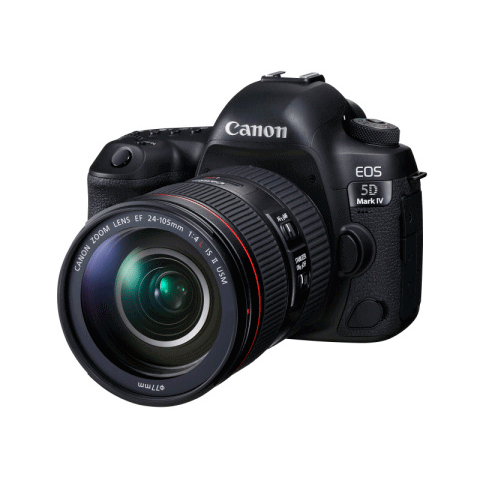 Canon（キャノン）EOS 5D Mark IV ボディの買取価格 | カメラ総合買取 