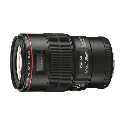 EF100mm F2.8Lマクロ IS USM