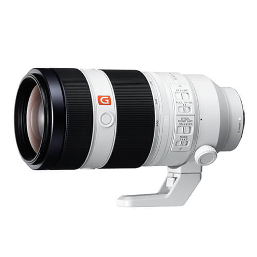 FE 100-400mm F4.5-5.6 GM OSS SEL100400GM