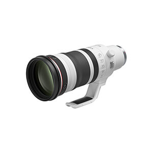 RF100-300mm F2.8 L IS USM