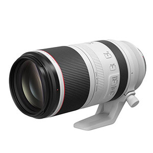 RF100-500mm F4.5-7.1 L IS USM