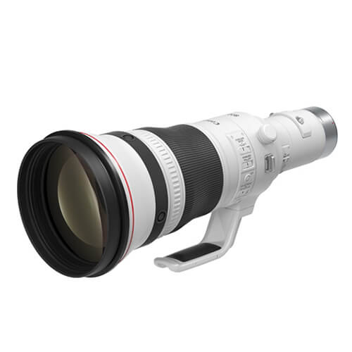 RF800mm F5.6 L IS USM