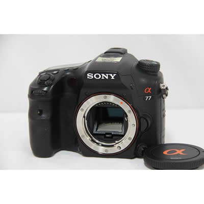 SONY \j[ | 77 SLT-A77V | Ô承iF24,000~