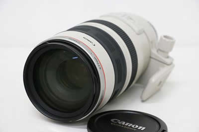 Canon キャノン EF100-400mm F4.5-5.6L IS USM